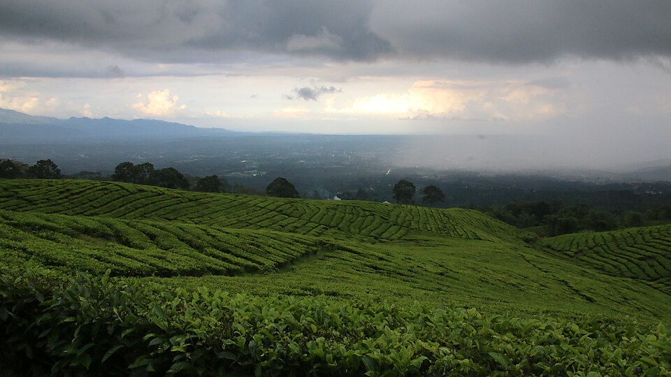 Pagar Alam